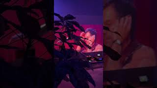 WHEN SOUND AND VISUALS ALIGN