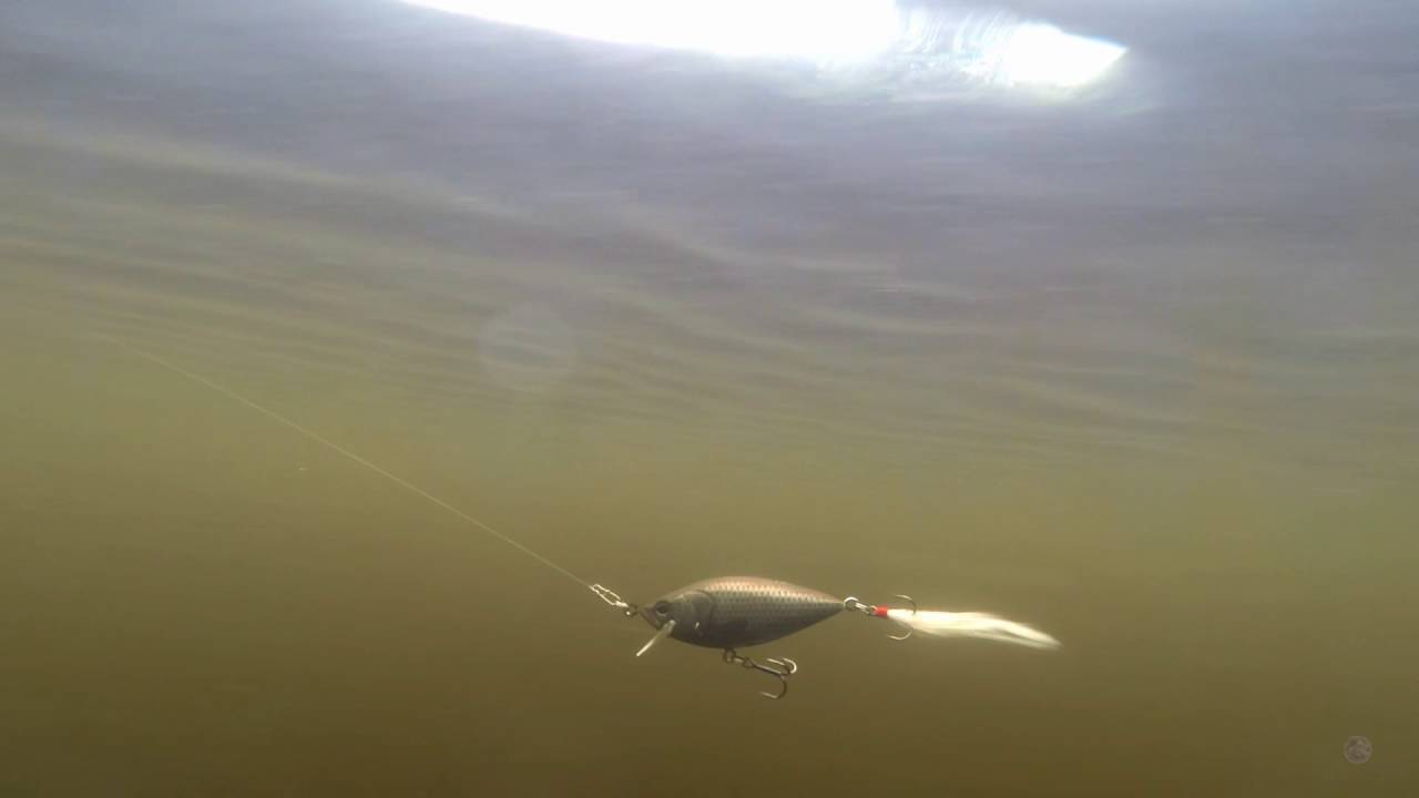 Deps Realizer Jr Youtube