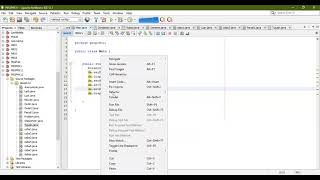 Projek Java Interface dan Nested Class