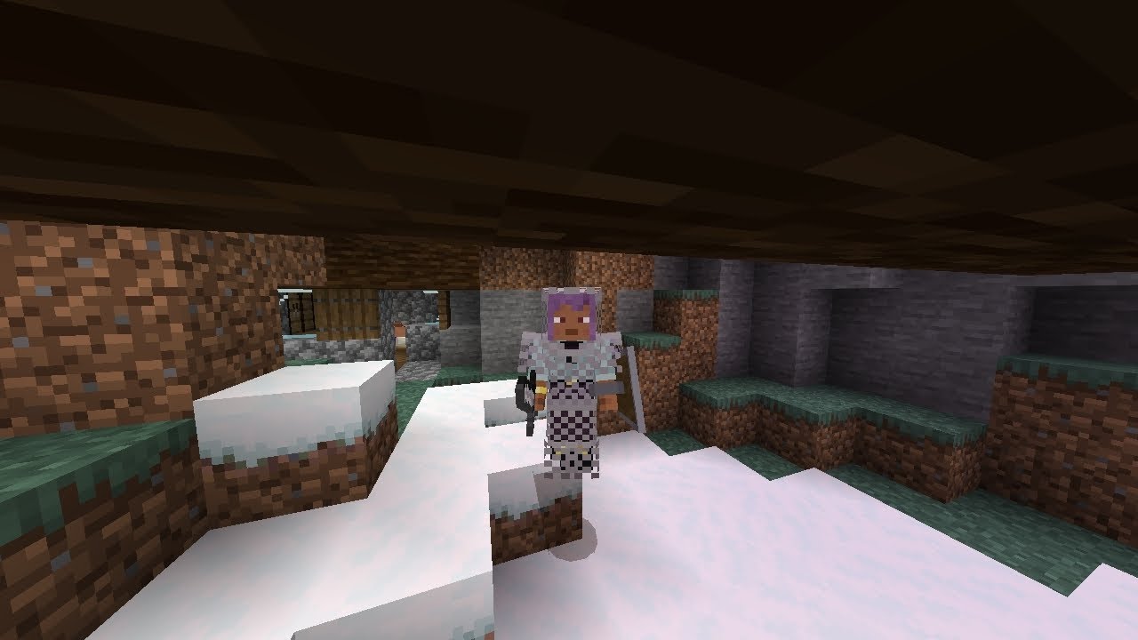 Playing Nova Mc server 