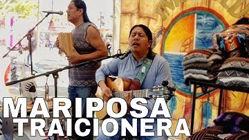 Thumbnail of INKA GOLD - MARIPOSA TRAICIONERA cover (Maná) @inkagoldmusic