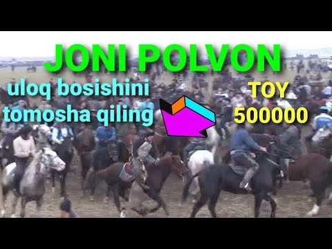 #JONI POLVON TOY