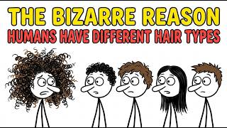 The Bizarre Reason Humans Have Different Hair Types