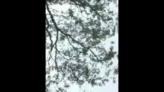 👪 Marissa Haque Ikang Fawzi Family by Shirley Malinton(7)