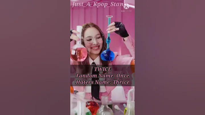 Fandom Names vs Haters Names of each kpop group || Just_A_Kpop_Stan