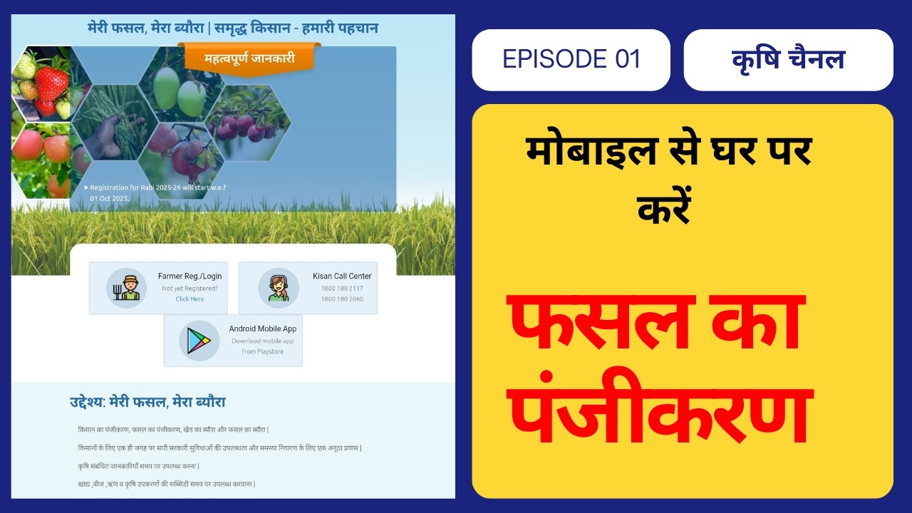 Fasal R मेरी फसल मेरा ब्यौरा पोर्टल पर रजिस्ट्रेशन कैसे होता है | Fasal online ...