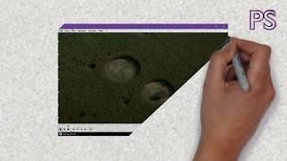 The 5 Best Free Media Player for Windows 2019 screenshot 3