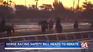 Rep. Andy Barr LEX18 China Task Force & Horseracing Integrity and Safety Act clip