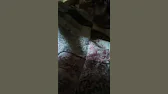 СO 28. Початок кращого