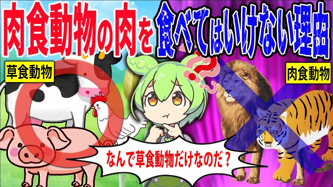 なぜ肉食動物の肉を食べてはいけないのか…衝撃的な理由とは？【ずんだもん＆ゆっくり解説】