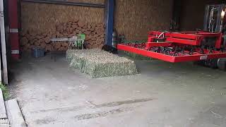 Grassy Alfalfa hay carrier (Please read description) 搬運 2 割苜蓿草上卡車 (請看描述欄)