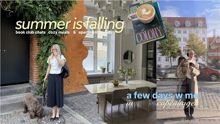 видео: полезные осенние дни в китайском книжном клубе / общение в книжном клубе, обновления в квартире, ... картинка: полезные осенние дни в китайском книжном клубе / общение в книжном клубе, обновления в квартире, ...