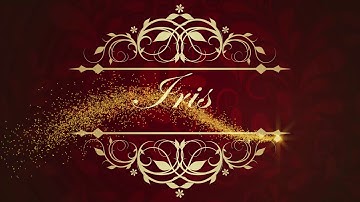 Quinceanera custom animated digital gobo by Projectorgram