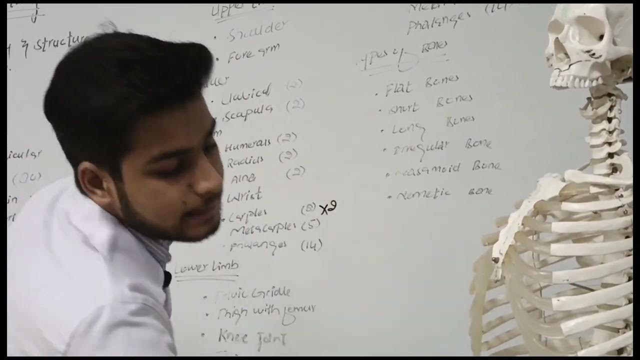Studentโs Presentation Biology Diagrams