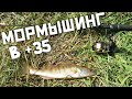 МОРМЫШИНГ В +35. САМ БЫЛ В ШОКЕ ОТ ПОЙМАННОЙ СТОЛЬКО РЫБЫ! #мормышинг #мормо #наноджиг