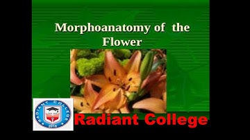 BOT-302 Plant systematics anatomy and development lec 10 morphology of flower