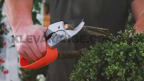Perfect For Garden Enthusiasts: Kleva Precision Pruners + 6 In 1 Sharpener | KlevaRange.com.au