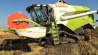 RICE Harvest - 4x Claas Tucano 440 + 450 | Rizs aratás 2018