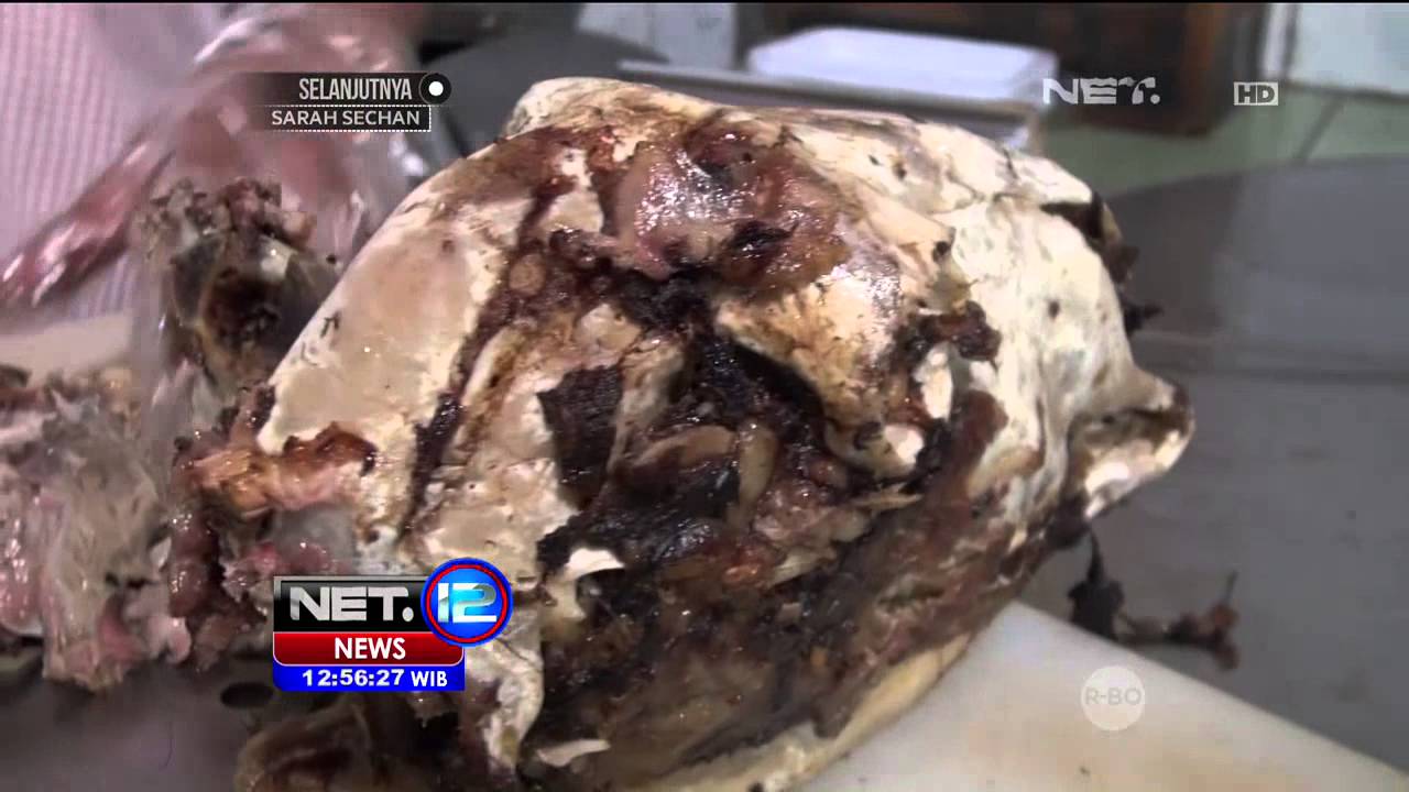 Kuliner Kepala Kambing di Madinah NET 12 YouTube Kuliner Kepala Kambing di Madinah NET 12 YouTube