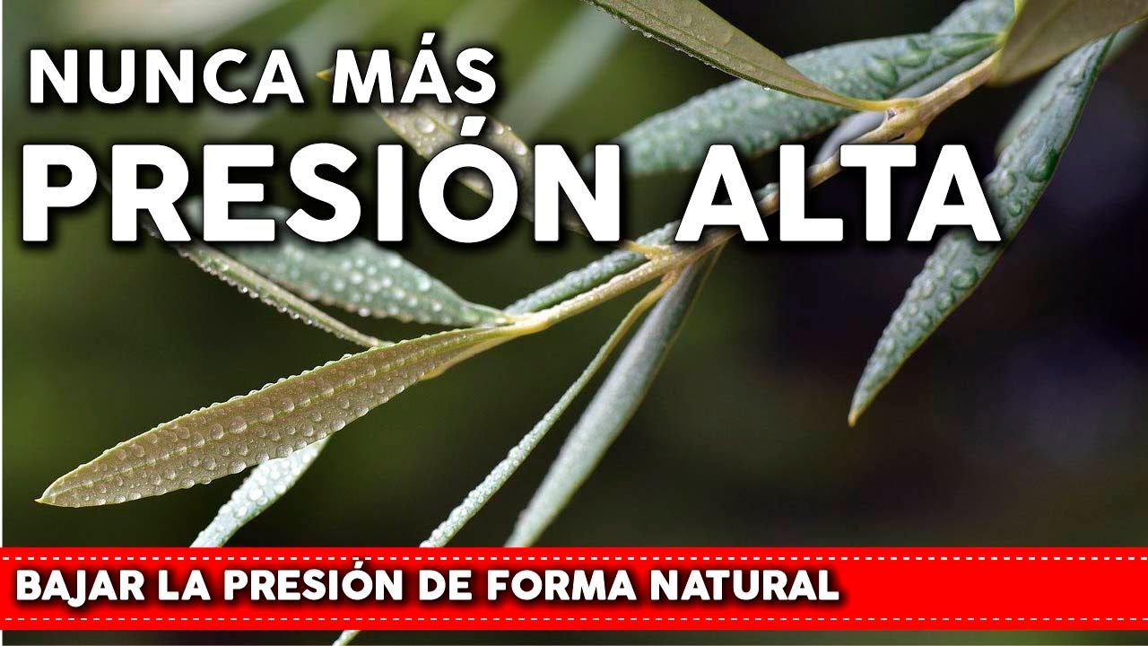 6 Plantas para bajar la PRESIÓN ALTA de forma natural - Como usarlas y  cultivarlas en tu jardin - YouTube