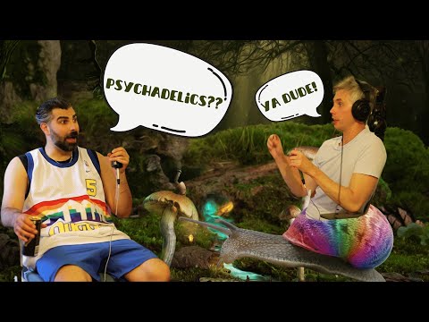 Inside a Psychedelic Conference: Exploring the Future of Psychedelics, The Ugh…Podcast Ep# 27
