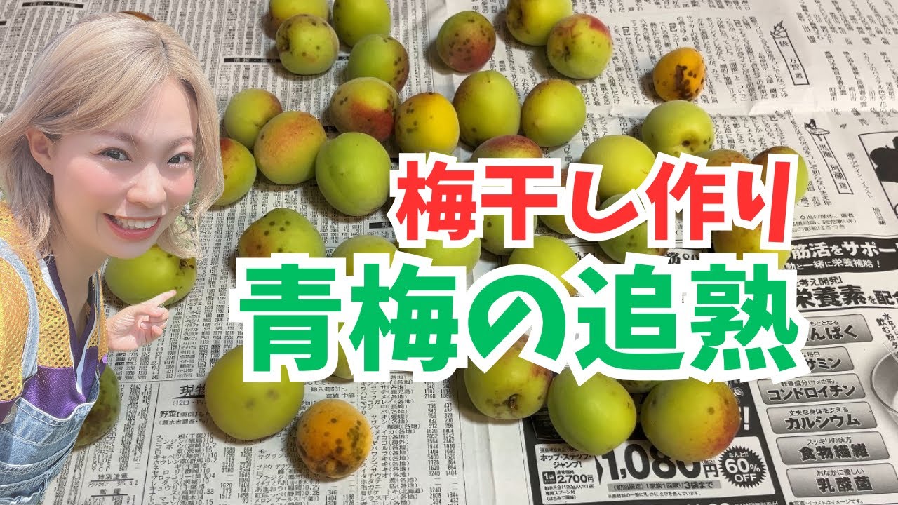 梅干し作り】青梅収穫したので追熟させます！ - YouTube