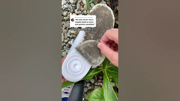 SneakerSoul Sole Protectors™ are a must-have for any sneaker collector.