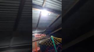 A Borboleta Ia Morrendo Tadinha