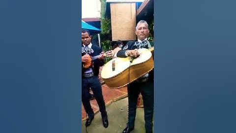 Thumbnail of mariachi nuevo Guadalajara 2000 de Colombia (armonía)
