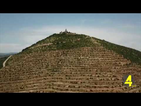 ორ დღიანი საერთაშორისო ფორუმი ბოლნისის მუნიციპალიტეტში  14/06/19