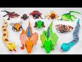 Toy asmr Remote Control Animals: Bee - Snake - Insect Toy Collection Playset ASMR 🦋 No talking