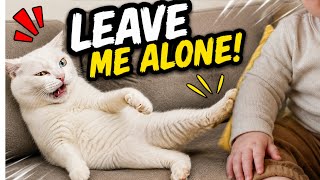My Talking Cat Told My Son "LEAVE ME ALONE" 😂 *Gentle Push* screenshot 5