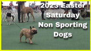 2023 Easter Saturday AM Show  Non Sporting Dogs