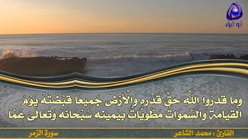 القارئ محمد الشاعر - من سورة الزمر