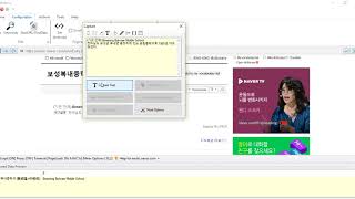 Keyword scraping in Naver.com using Webharvy