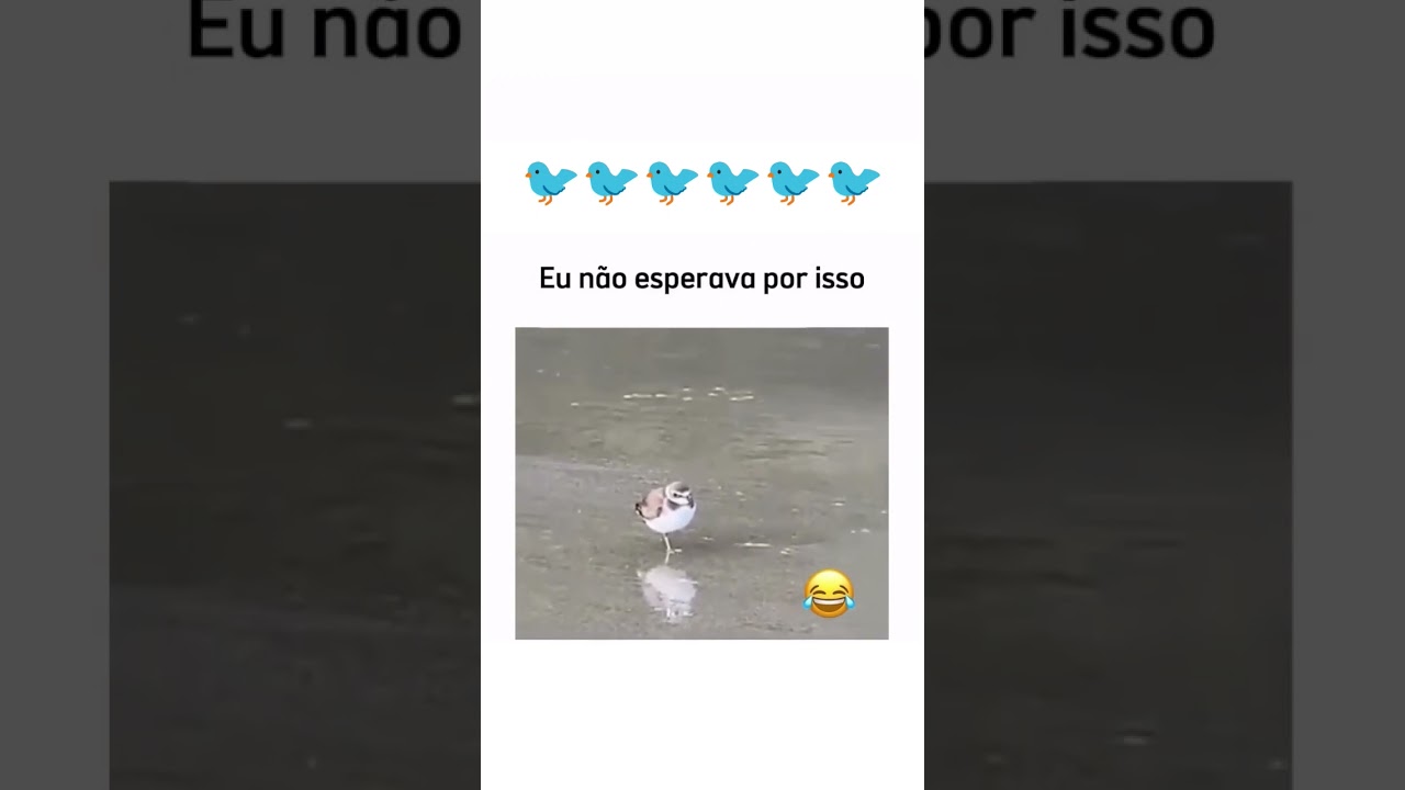 Meu Deus đđđ #shortvideo #trending #viral #youtubeshorts #youtube #shorts #short #comedy #funny #yt