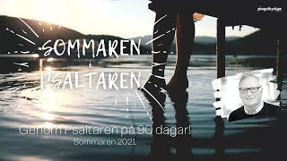 7 Sommaren i PSALTAREN berättelse från Allan