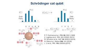 Shruti Puri (Yale University) - Quantum error correction tailored to biased noise cat qubits
