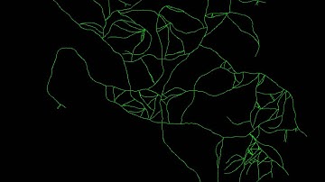 Procedural Road Network - Experiment 6