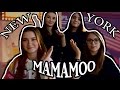 마마무 (MAMAMOO) - NEW YORK - MV REACTION  [한글자막]
