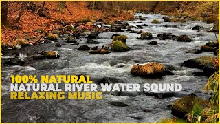 NATURAL RIVER WATER RELAXING SOUND NATURE SLEEPING MUSIC