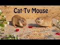 Best mouse for cats  mouse hide and seek for cats to enjoy  10 hours cat tv