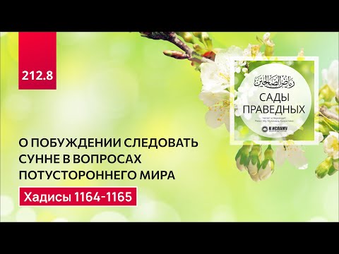 212.8 Сады праведных. О побуждении следовать сунне в вопросах потустороннего мира. Хадисы 1164-1165