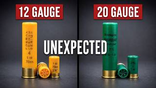12 Gauge vs 20 Gauge: The Biggest Lie in Home Defense