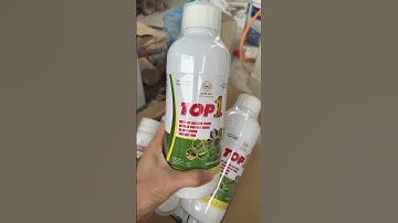TOP 1 Pesticide – Kills all pests and insects for crops (Coffee, Durian, Vegetables...)