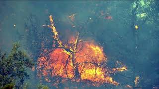 Peri̇şan Şi̇i̇ri̇ - Ömür Gürbüz