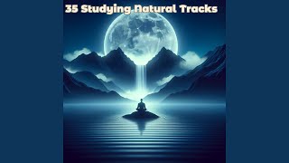 Spacial Awareness
