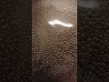 L'eau non presse Improvisé Voce Réalisé par Voce