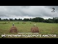 Трофейный окунь. Встретили по дороге аистов / Рыбалка за рулем / 6 сезон. 22 серия