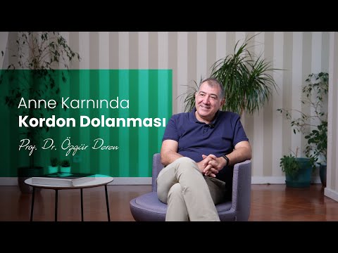 Anne Karnında Kordon Dolanması | Prof. Dr. Özgür Deren | Riskli Gebelik Uzmanı